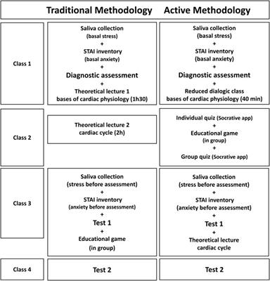 Active learning methodology, associated to formative assessment, improved cardiac physiology knowledge and decreased pre-test stress and anxiety